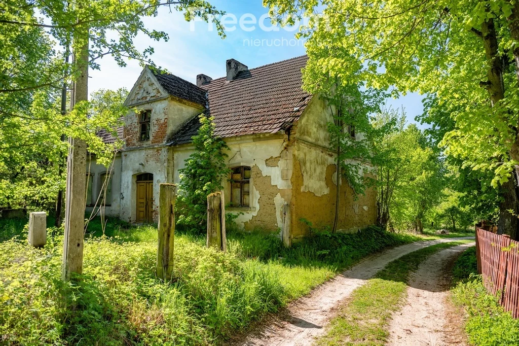 10539/3685/OGS - zdjęcie nr 2