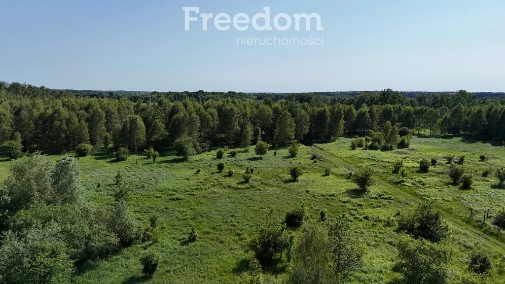 Działka 1 685,00 m², oferta nr , 10740/3685/OGS, Żółwia Błoć