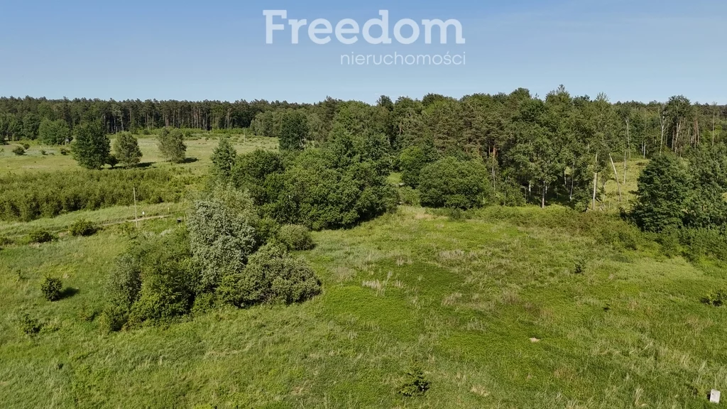 Działka 1 685,00 m², oferta nr , 10740/3685/OGS, Żółwia Błoć