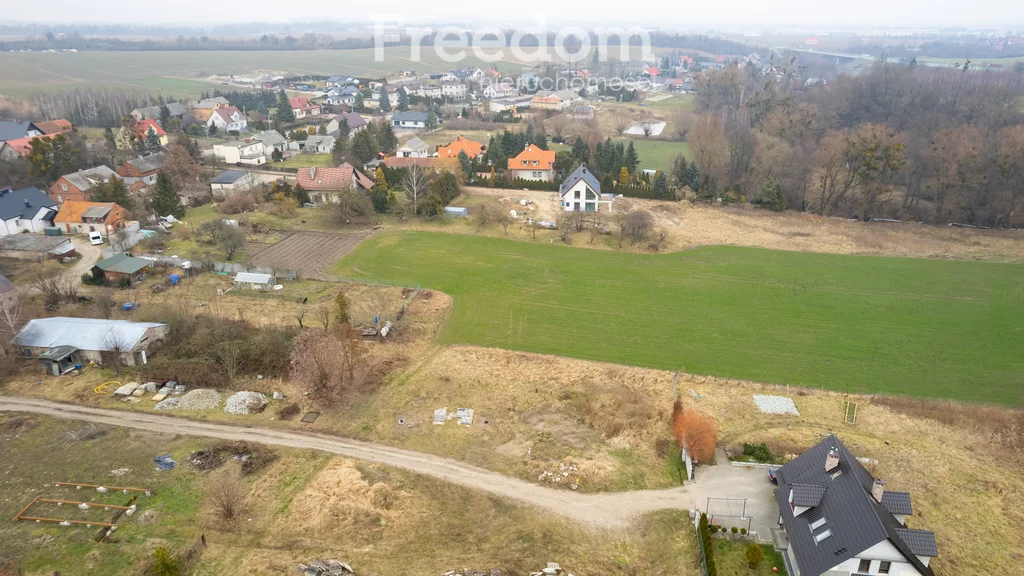 10448/3685/OGS - zdjęcie nr 3