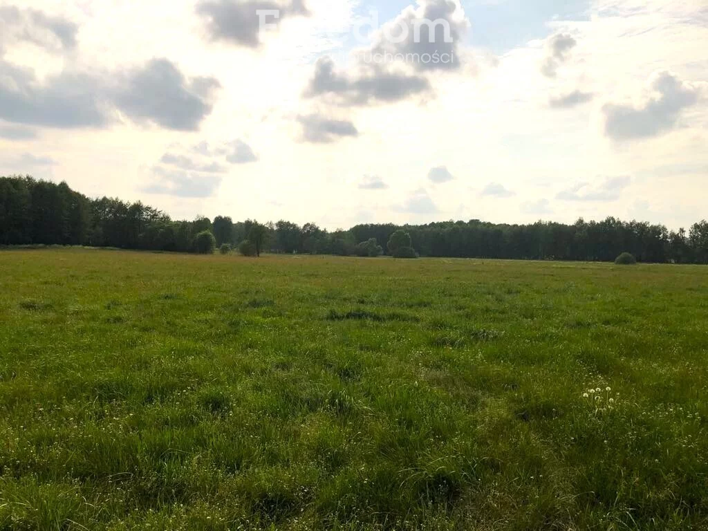 Działka 26 900,00 m², oferta nr , 10933/3685/OGS, Żurobice
