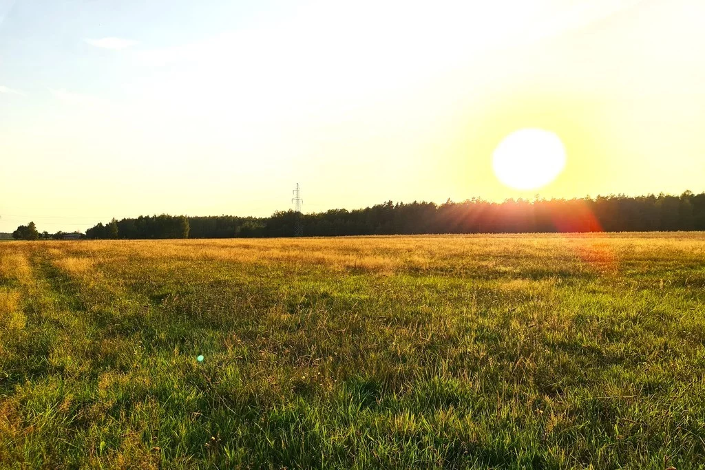 Działka 9 900,00 m², Zuzułka, Sprzedaż