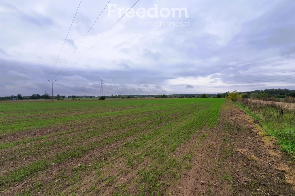 Działka 13 000,00 m², oferta nr , 8977/3685/OGS, Gręzów, Żwirowa
