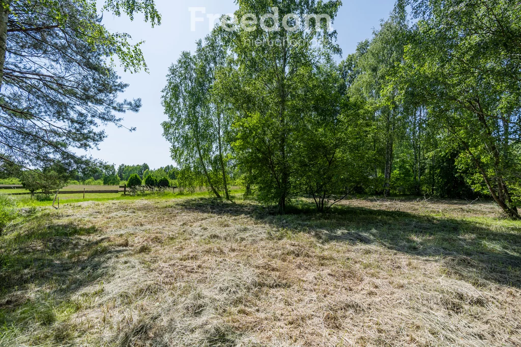 10755/3685/OGS - zdjęcie nr 3