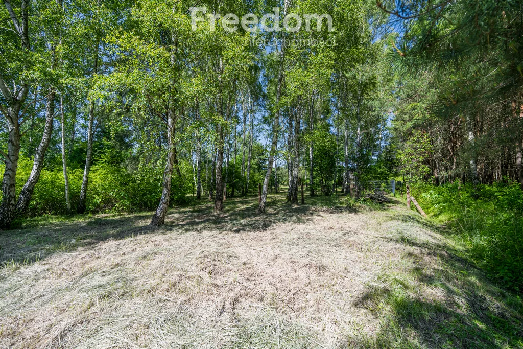 10755/3685/OGS - zdjęcie nr 4