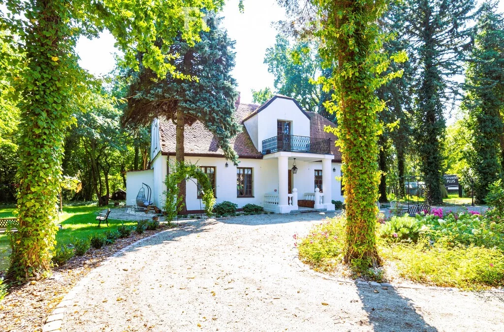Lokal użytkowy 309,60 m², oferta nr , 969/3685/OOS, Jadwisin, Akacjowa