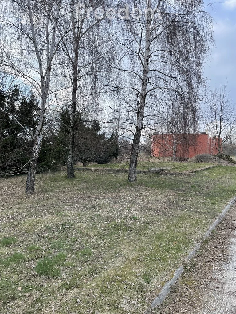 1872/3685/OLS - zdjęcie nr 3