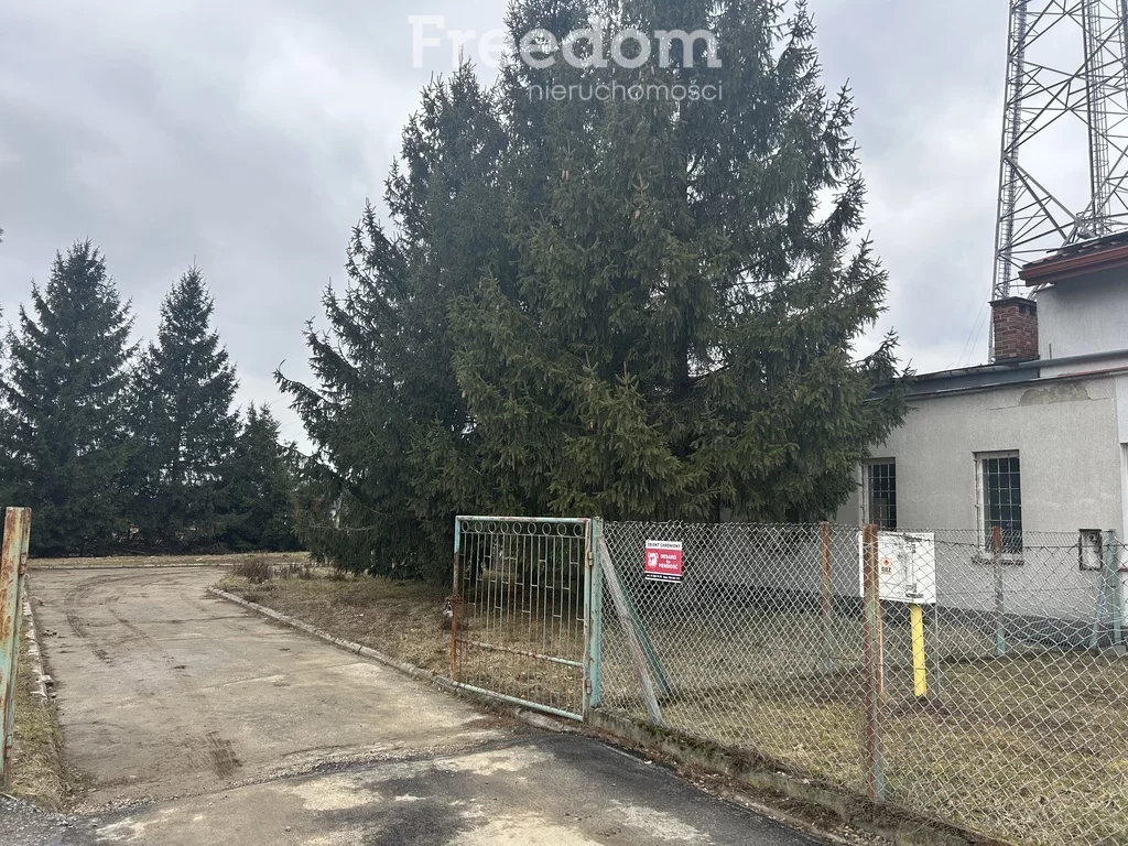 Lokal użytkowy 225,20 m², oferta nr , 1872/3685/OLS, Sędziszów Małopolski, Głowackiego