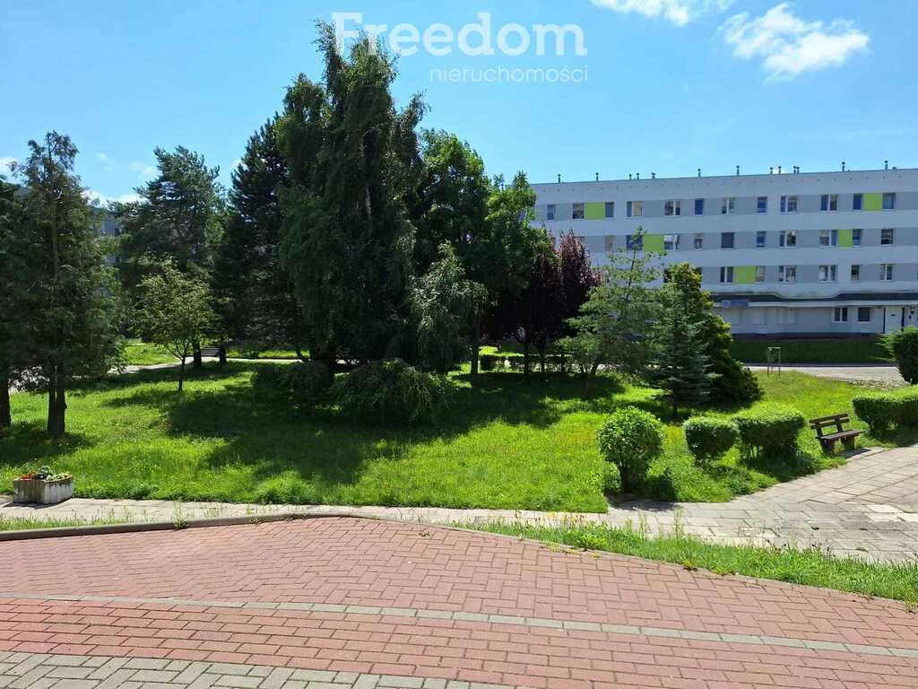 1956/3685/OLS - zdjęcie nr 2
