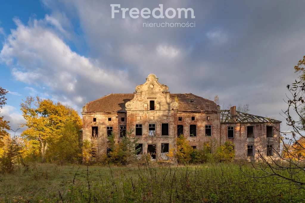 Lokal użytkowy 216 628,00 m², Januszewo, Sprzedaż