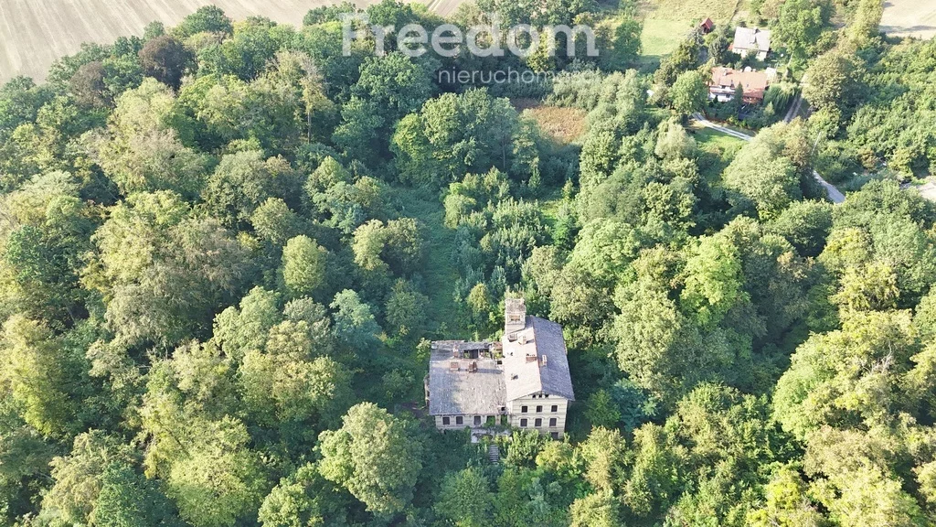 Lokal użytkowy 900,00 m², oferta nr , 763/3685/OOS, Jeziorno