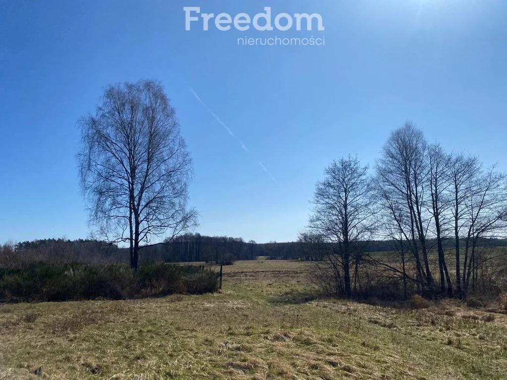 Lokal użytkowy 388,00 m², oferta nr , 922/3685/OOS, Łowicz Wałecki