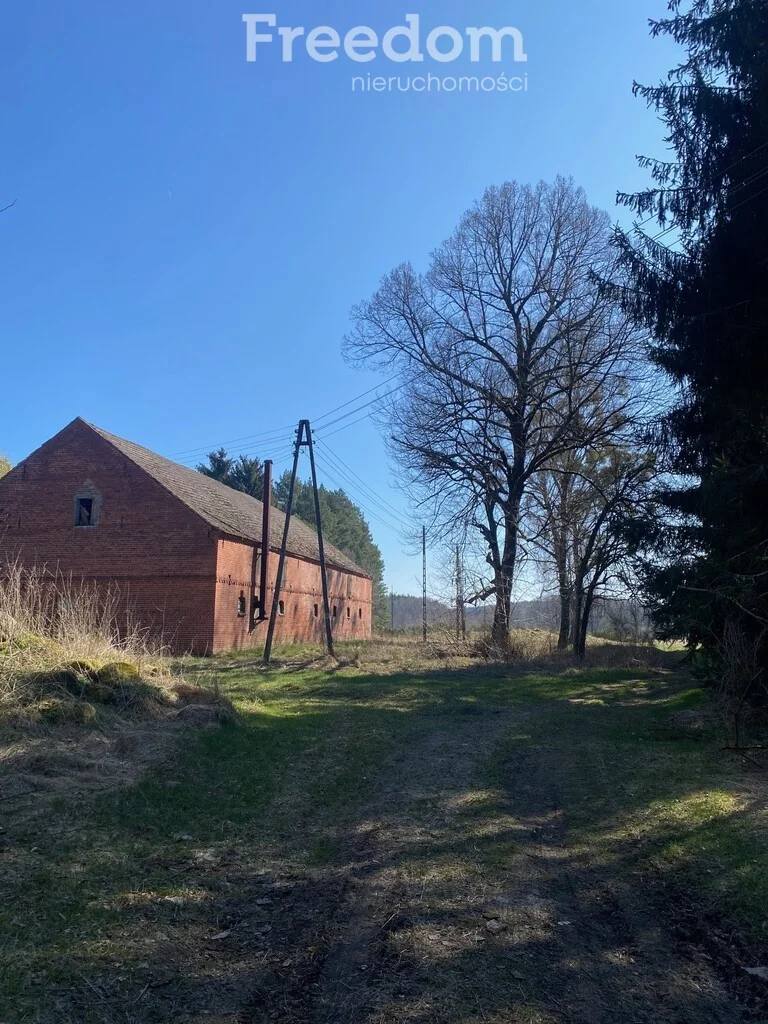 Lokal użytkowy 388,00 m², oferta nr , 922/3685/OOS, Mirosławiec