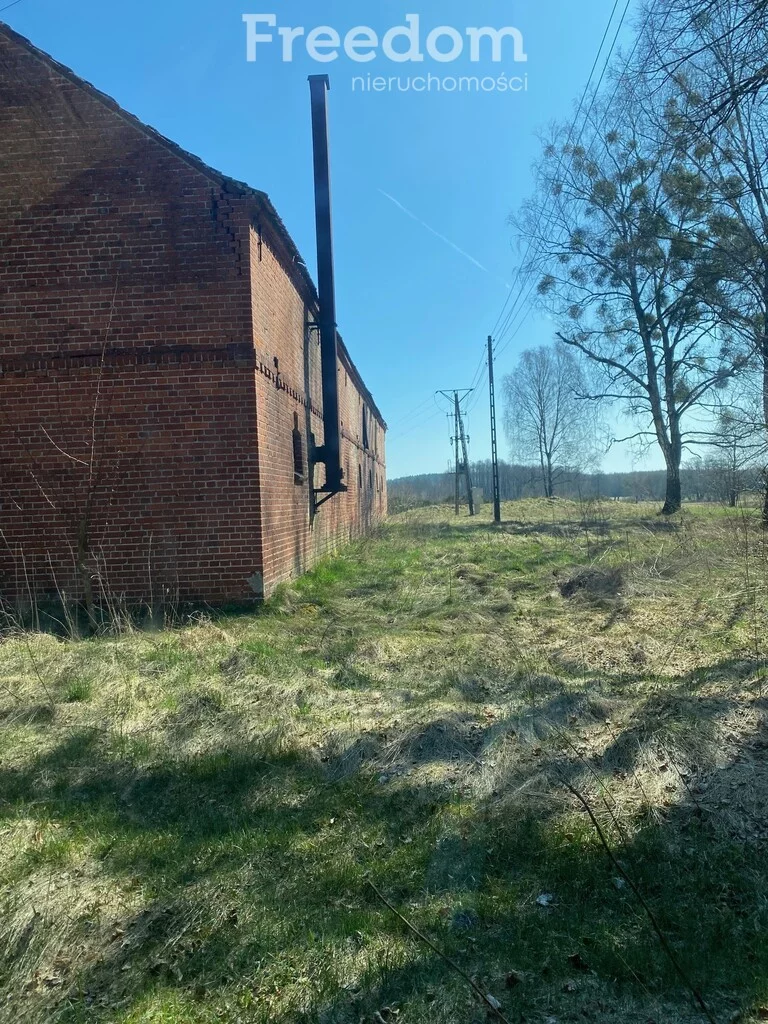 Lokal użytkowy 388,00 m², oferta nr , 922/3685/OOS, Mirosławiec