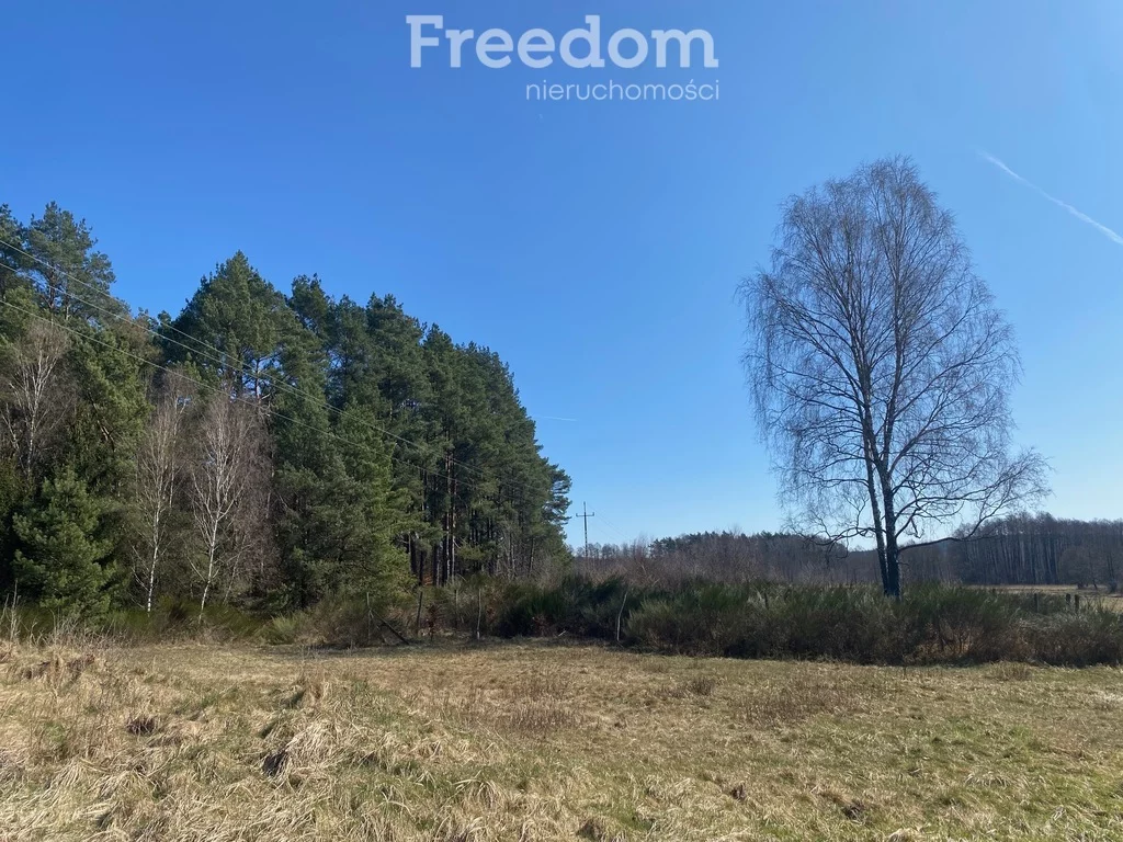 Lokal użytkowy 388,00 m², oferta nr , 922/3685/OOS, Mirosławiec
