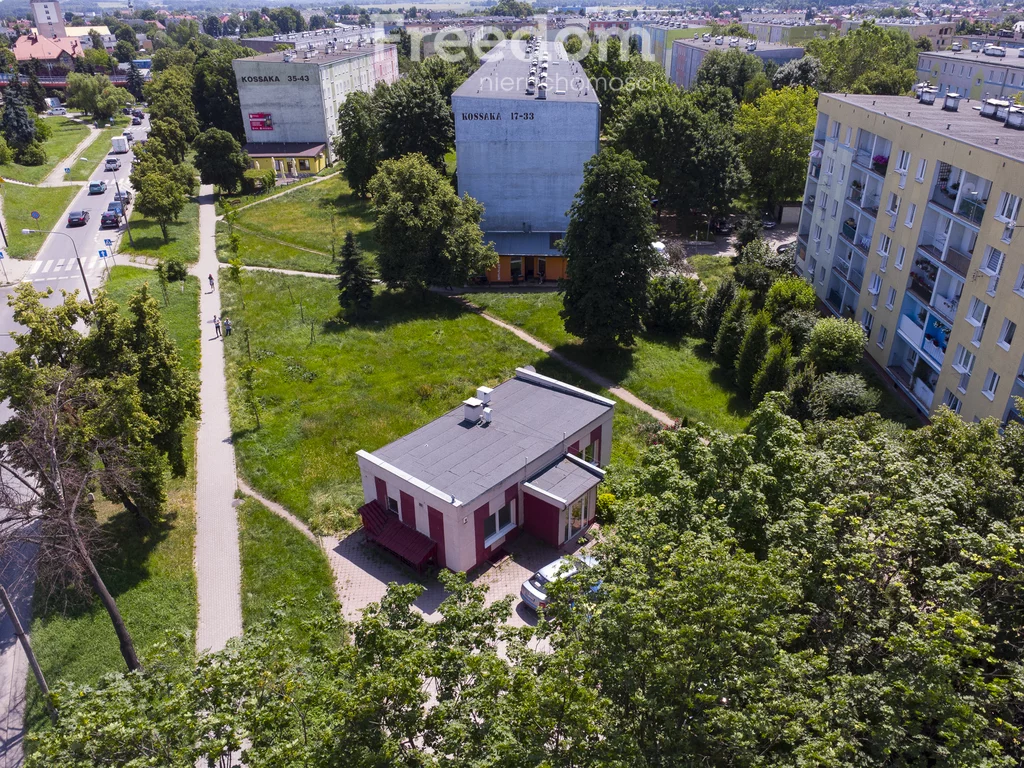 1919/3685/OLS - zdjęcie nr 2