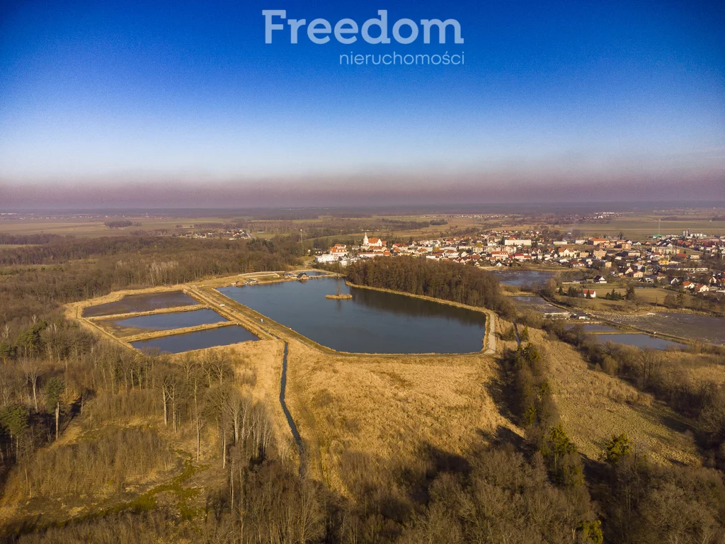 Lokal użytkowy 200 000,00 m², Korfantów, Parkowa, Sprzedaż