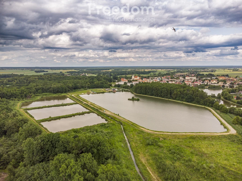 955/3685/OOS - zdjęcie nr 0