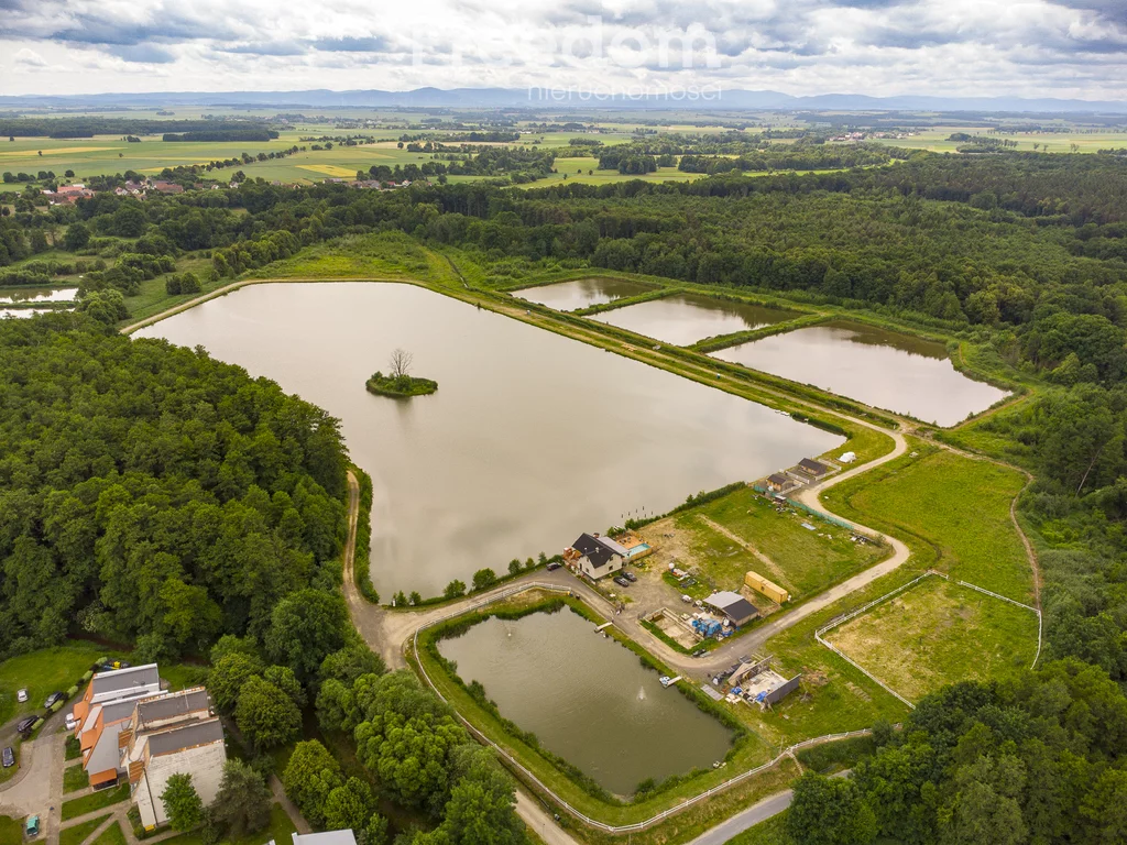 Lokal użytkowy 200 000,00 m², oferta nr , 955/3685/OOS, Korfantów, Parkowa