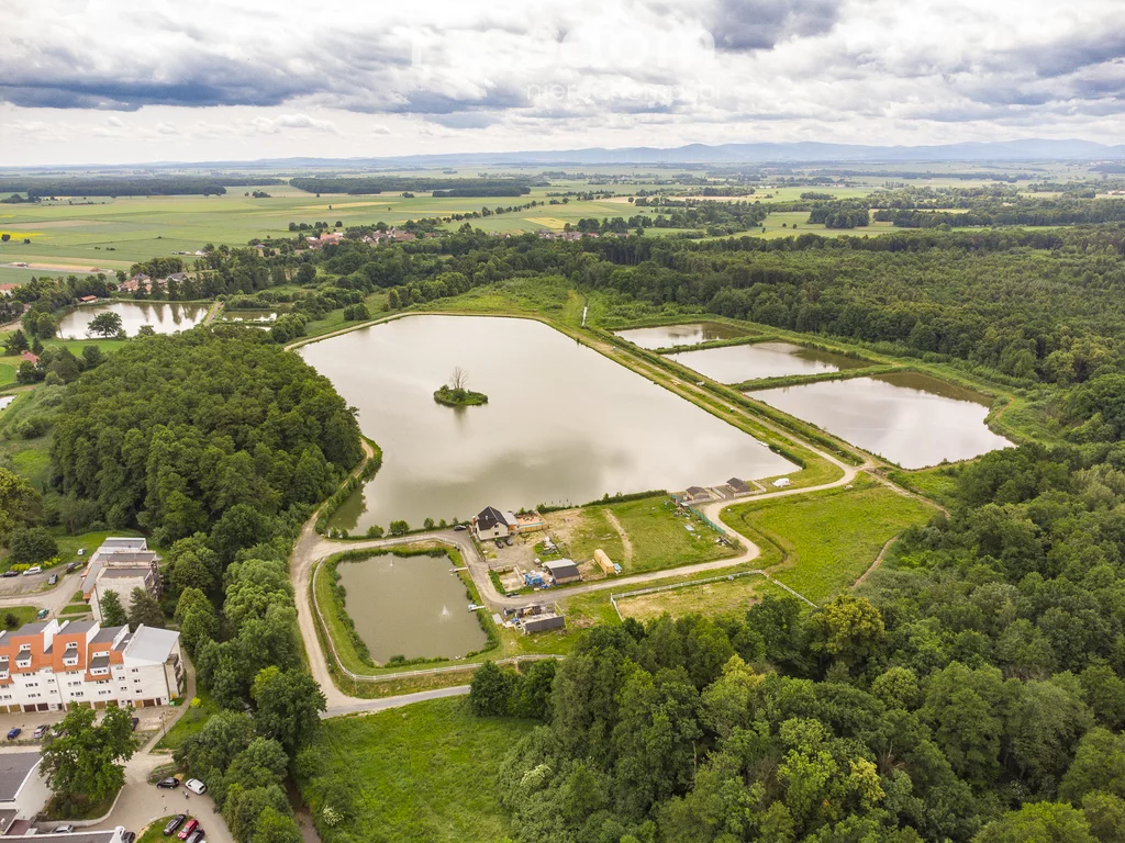 Lokal użytkowy 200 000,00 m², oferta nr , 955/3685/OOS, Korfantów, Parkowa