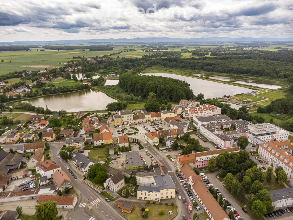 Lokal użytkowy 200 000,00 m², oferta nr , 955/3685/OOS, Korfantów, Parkowa