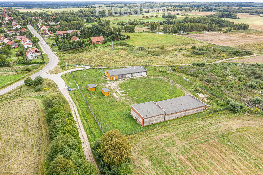 93/3685/OOW - zdjęcie nr 1