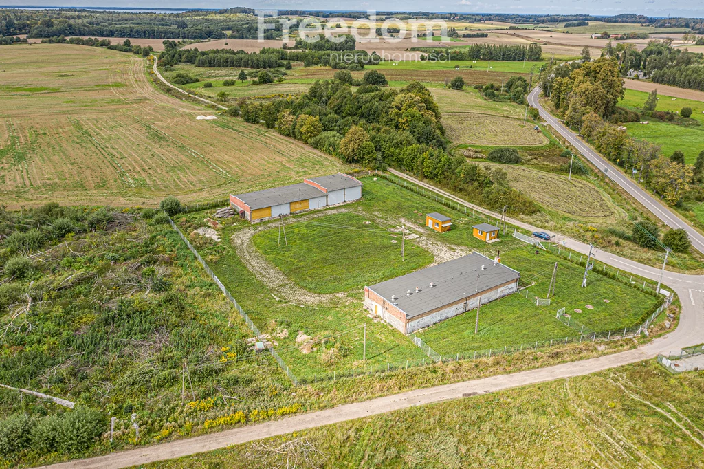 93/3685/OOW - zdjęcie nr 4