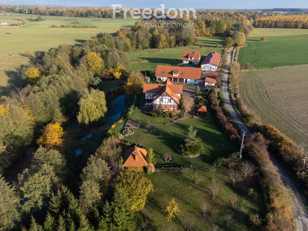 Lokal użytkowy 320,00 m², Stegny, Sprzedaż