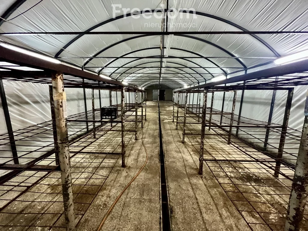 Lokal użytkowy 165,00 m², oferta nr , 2196/3685/OLW, Lubliniec, Szafera
