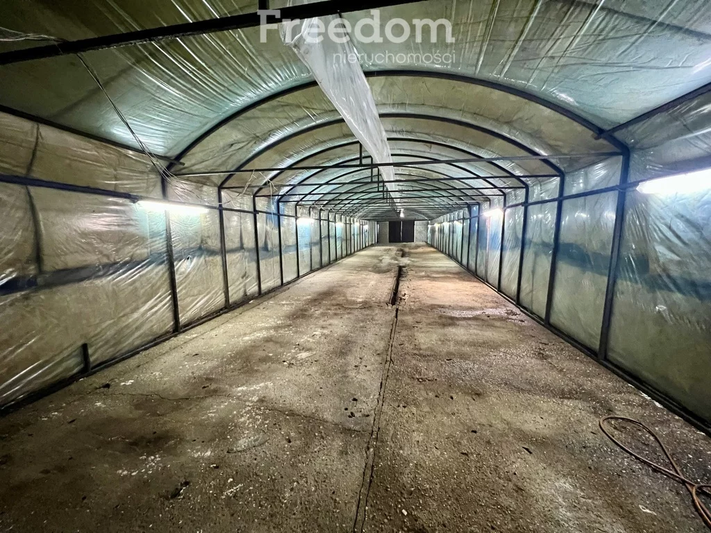 Lokal użytkowy 165,00 m², oferta nr , 2196/3685/OLW, Lubliniec, Szafera