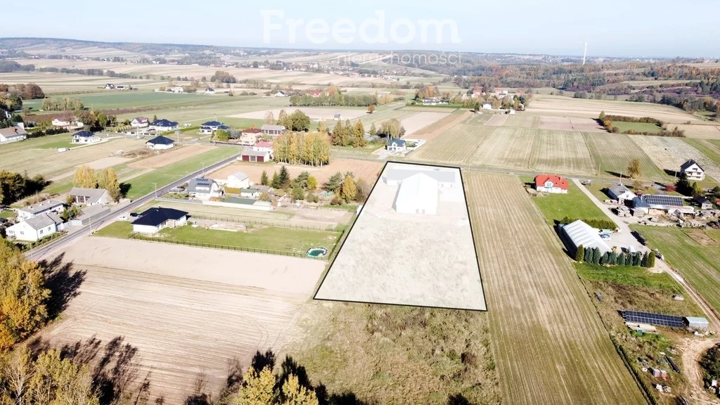 Lokal użytkowy 1 374,00 m², oferta nr , 1984/3685/OLS, Tarczek