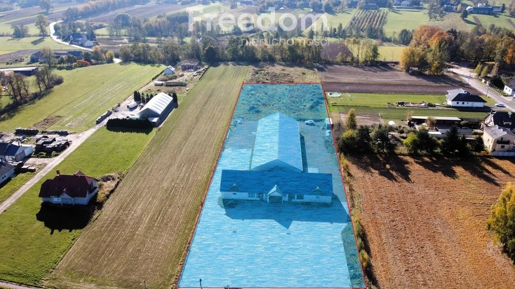 Lokal użytkowy 1 374,00 m², oferta nr , 1984/3685/OLS, Tarczek