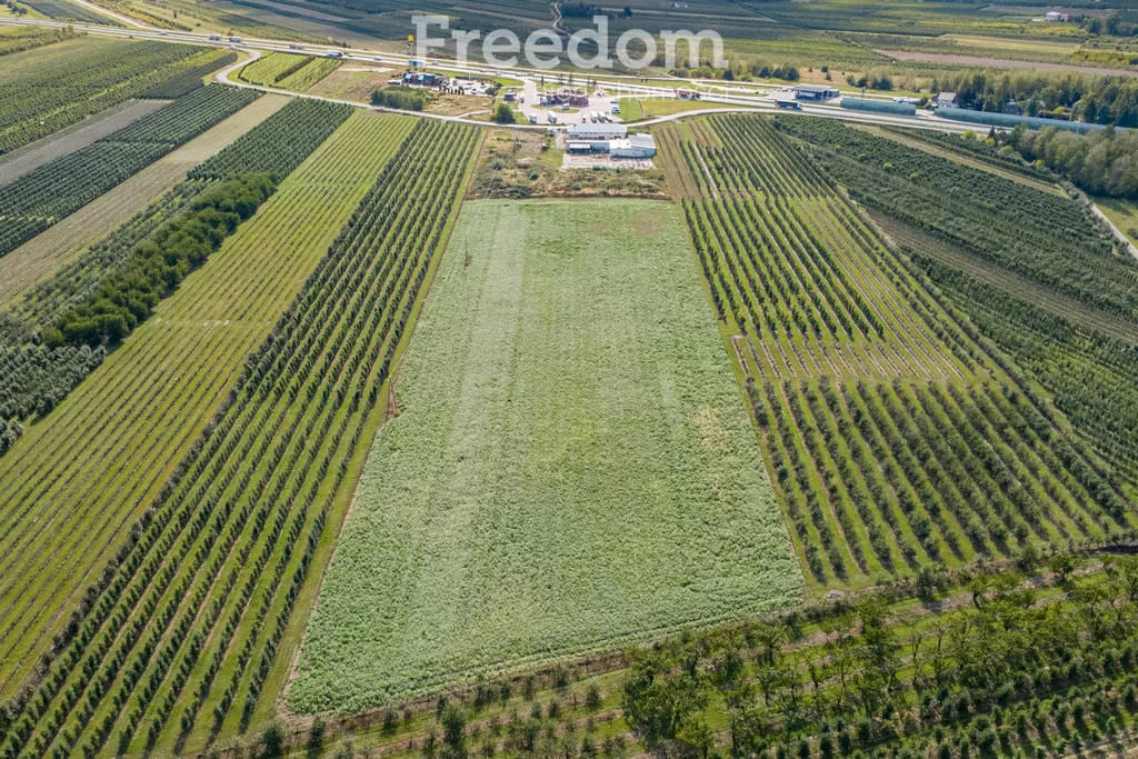 Magazyn 42 000,00 m², oferta nr , 975/3685/OOS, Broniszew