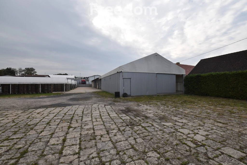 Magazyn 600,00 m², oferta nr , 157/3685/OOW, Brynica