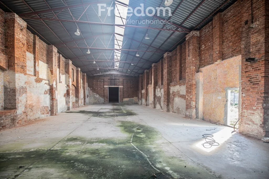 Magazyn 1 176,00 m², oferta nr , 84/3685/OHS, Brzeg