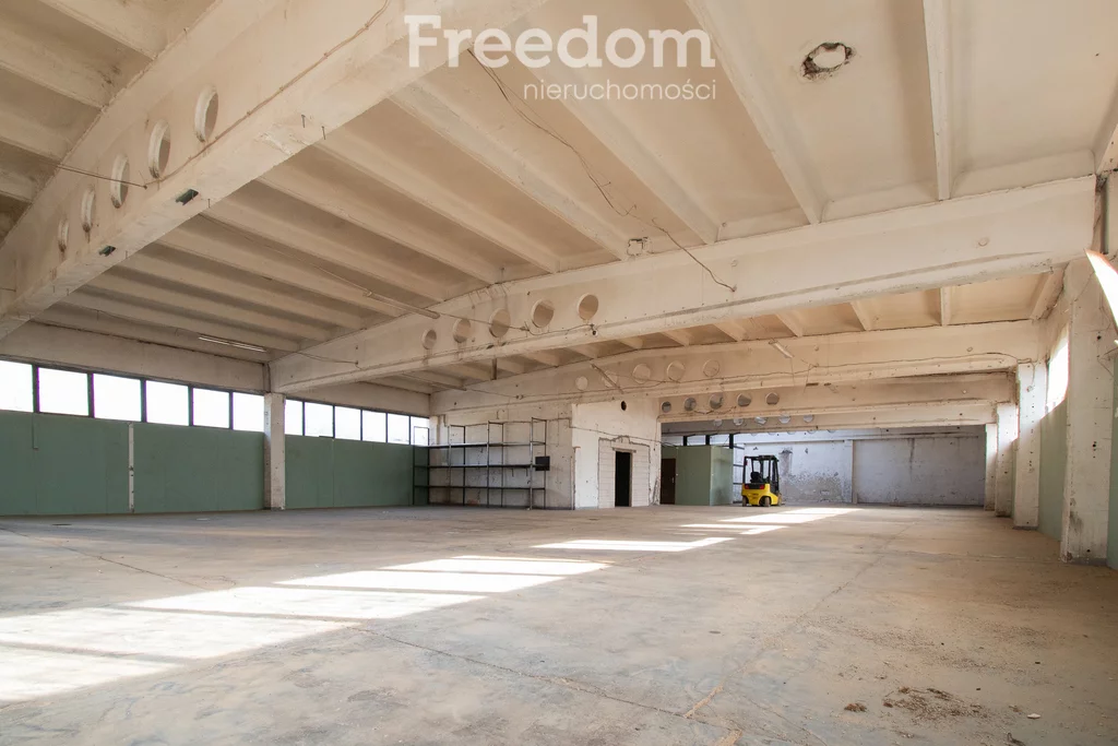 Magazyn 700,00 m², oferta nr , 71/3685/OHW, Ignatki