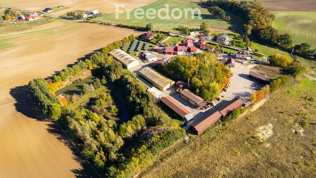 Magazyn 4 834,76 m², oferta nr , 884/3685/OOS, Ulkowy, Kasztanowa