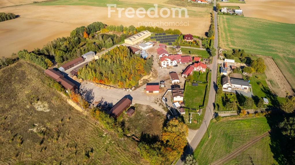 Magazyn 4 834,76 m², oferta nr , 884/3685/OOS, Ulkowy, Kasztanowa