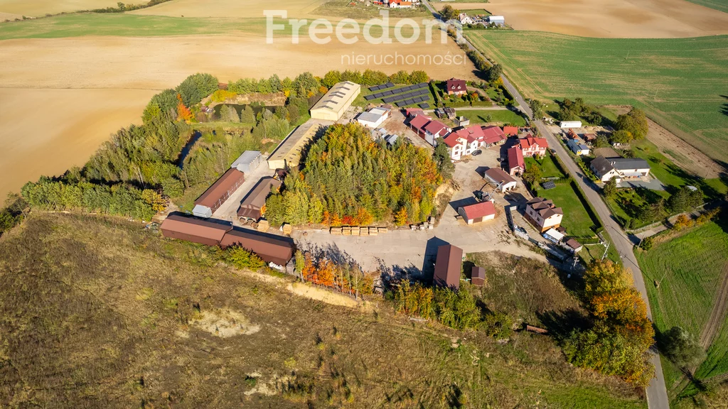Magazyn 4 834,76 m², oferta nr , 884/3685/OOS, Ulkowy, Kasztanowa