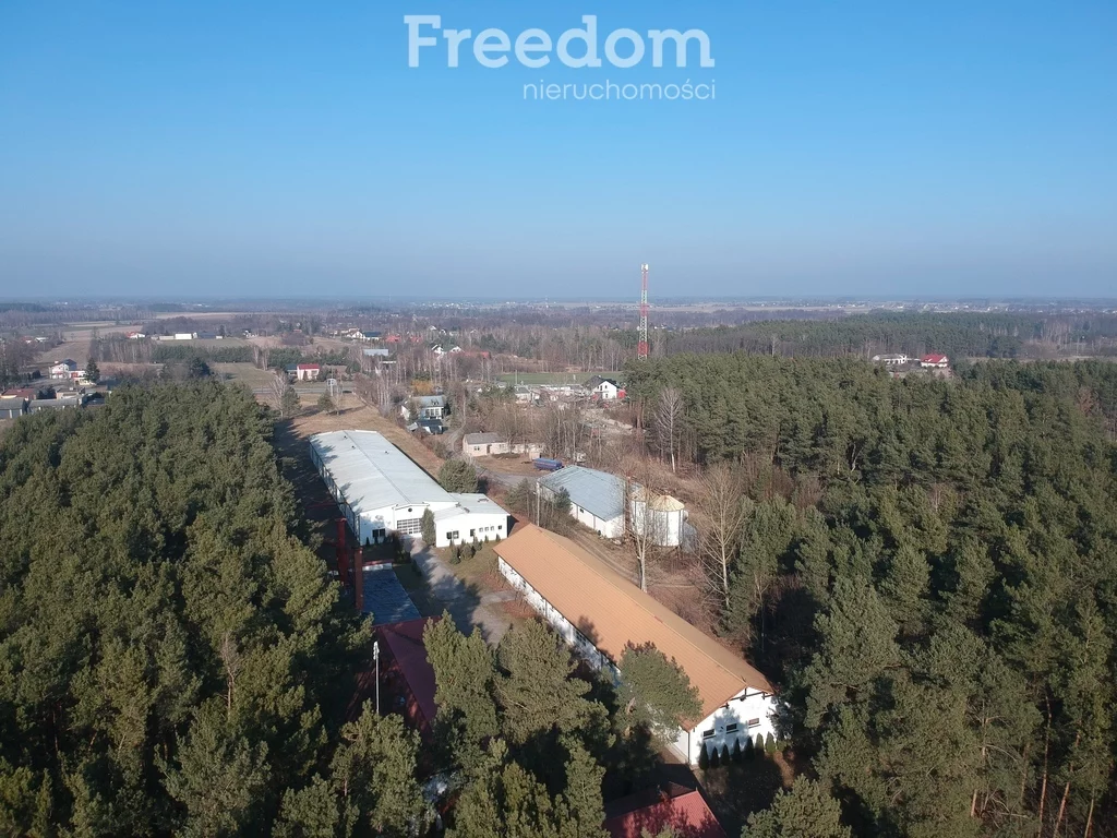 Magazyn 20 000,00 m², oferta nr , 121/3685/OHW, Klwatka Królewska