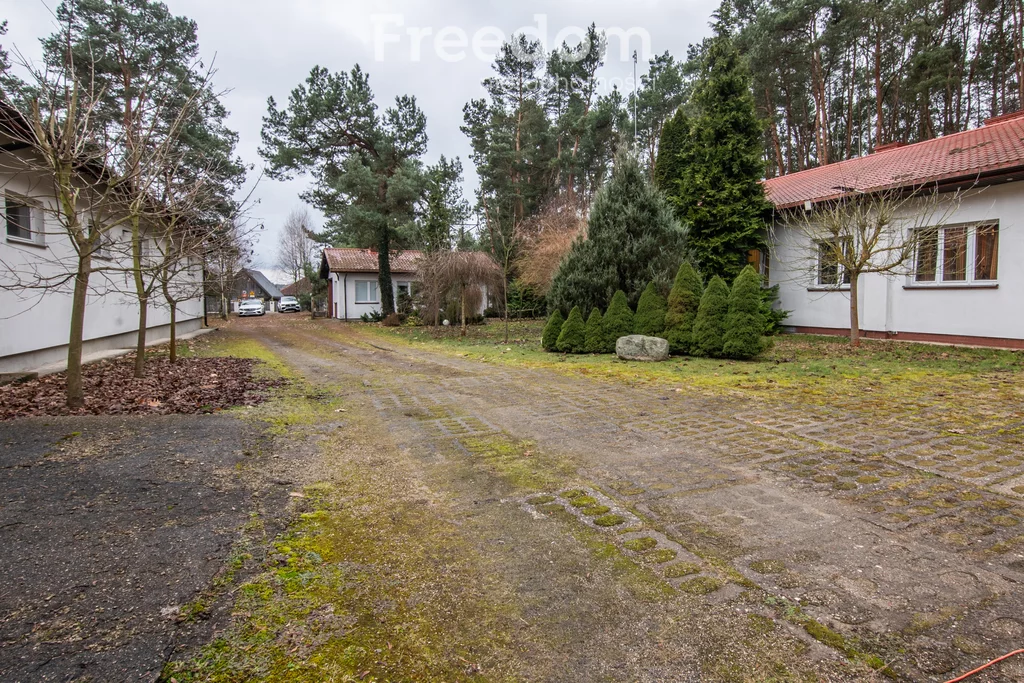 Magazyn 20 000,00 m², oferta nr , 121/3685/OHW, Klwatka Królewska
