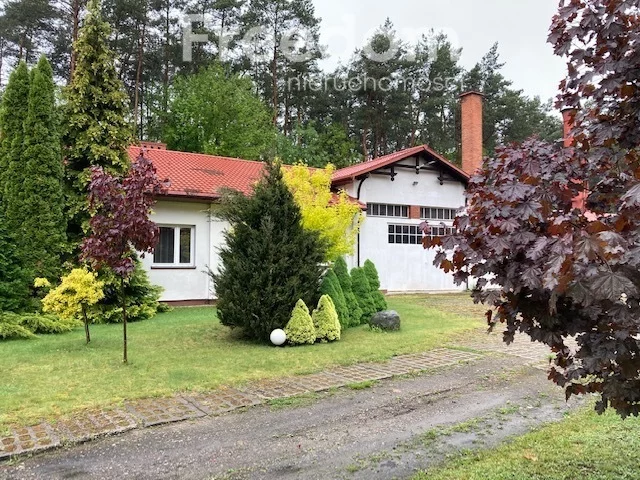 Magazyn 20 000,00 m², oferta nr , 121/3685/OHW, Klwatka Królewska