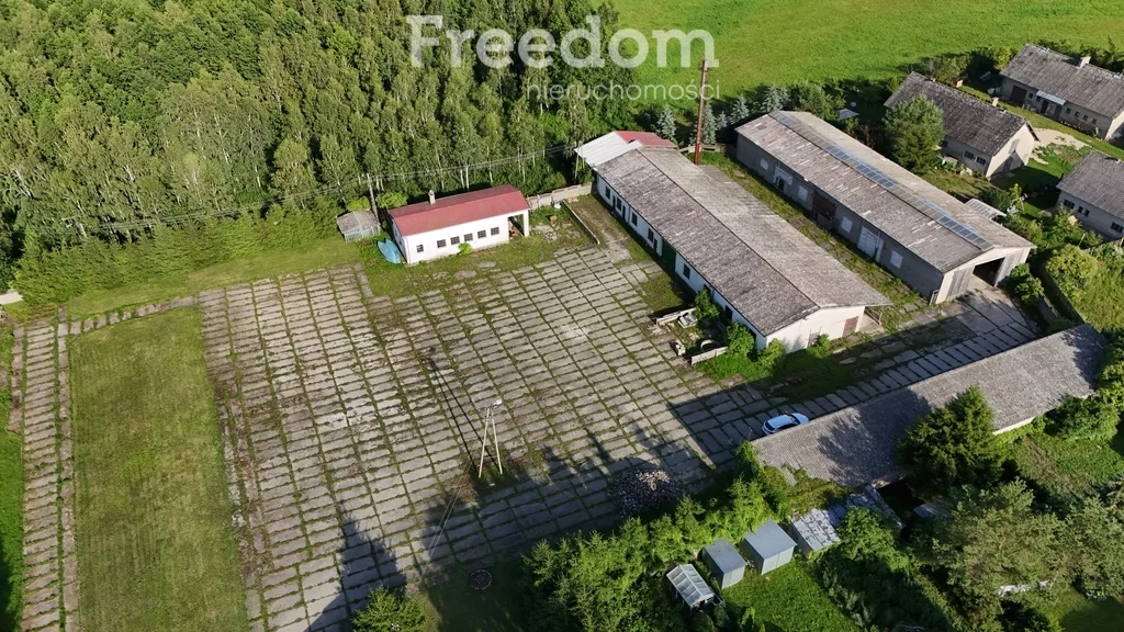 944/3685/OOS - zdjęcie nr 1