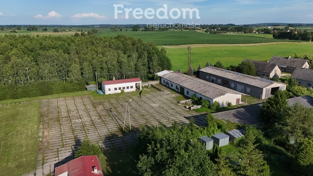 944/3685/OOS - zdjęcie nr 2
