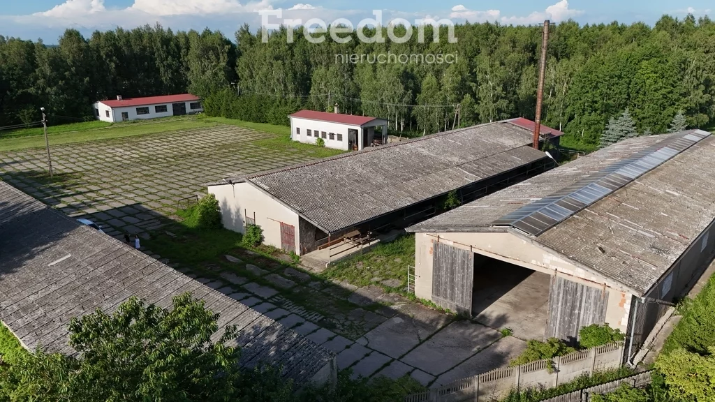 944/3685/OOS - zdjęcie nr 3