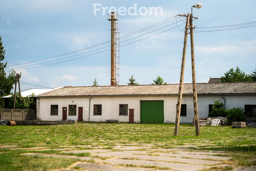 Magazyn 8 330,00 m², oferta nr , 944/3685/OOS, Olszewo