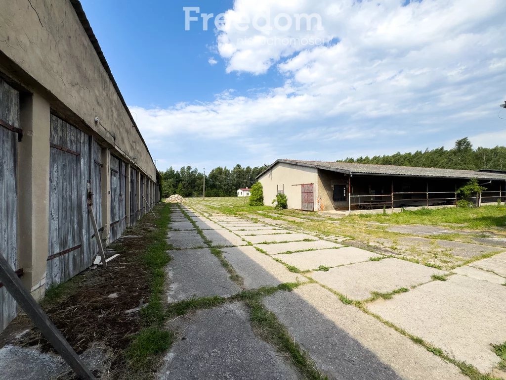Magazyn 8 330,00 m², oferta nr , 944/3685/OOS, Olszewo