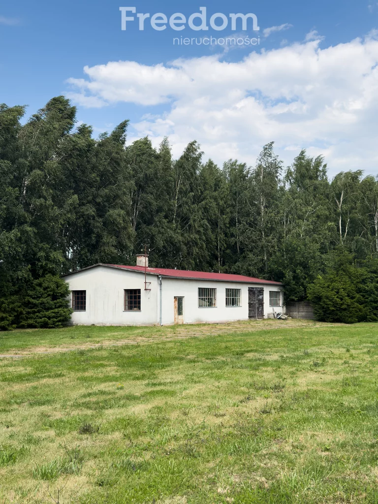 Magazyn 8 330,00 m², oferta nr , 944/3685/OOS, Olszewo