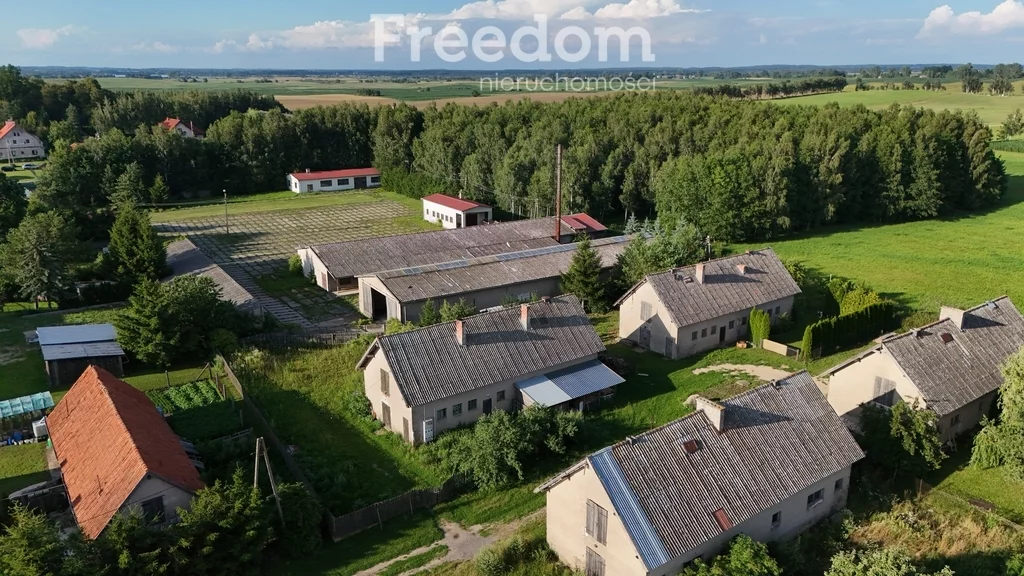 947/3685/OOS - zdjęcie nr 0