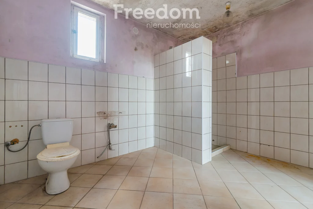 Magazyn 1 850,00 m², oferta nr , 21/3685/OHW, Panigródz